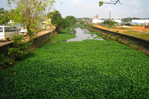 166Canoli-Canal-kozhikode